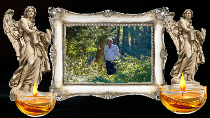dateien_upload/frank.jpg