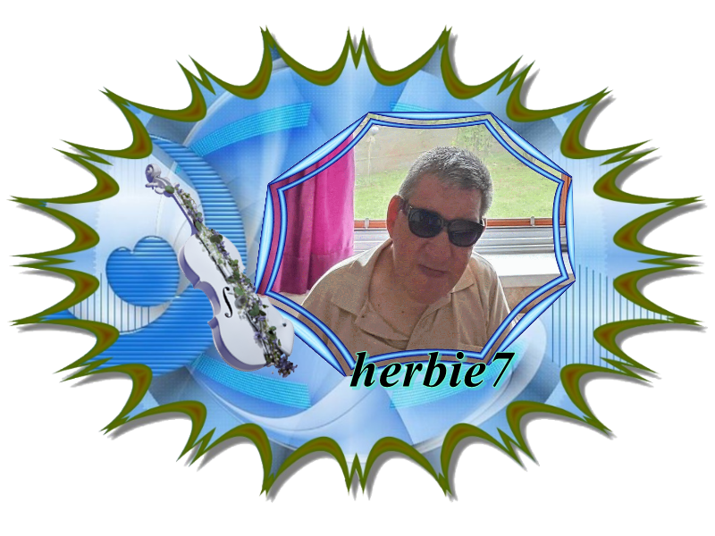 dateien_upload/neuer_modi_herbie7mit_neuen_bild.png